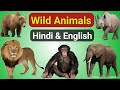 Wild Animals Name Hindi and English | जंगली जानवरों के नाम | Animals Names | Kids Videos