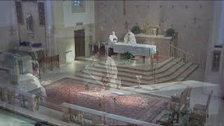 Wednesday 8:30 am Mass - July 15th, 2026