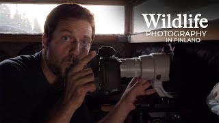 Wildlife Photography - Wolves And Bears Part 1 The Travel To Finland