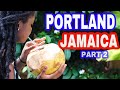 HERE'S WHY YOU SHOULD MOVE TO PORTLAND JAMAICA