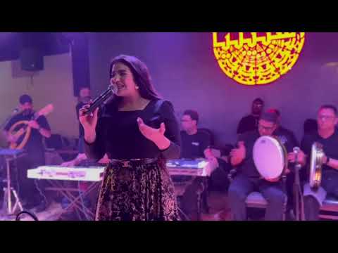 يارا الشافعي حفلات  