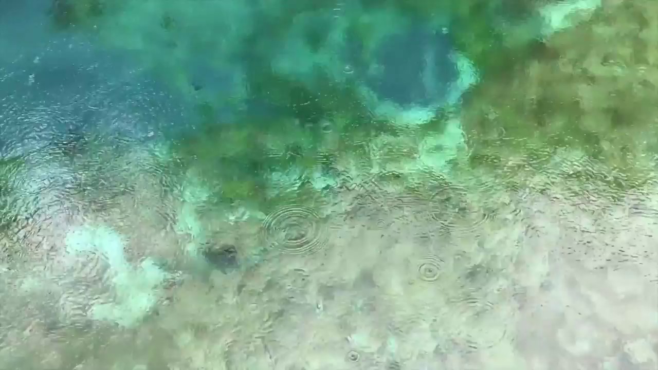 Boring Books: Principles of Geology, 1 (ASMR Quiet Reading for Relaxation & Sleep)