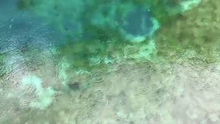 Boring Books: Principles of Geology, 1 (ASMR Quiet Reading for Relaxation & Sleep)