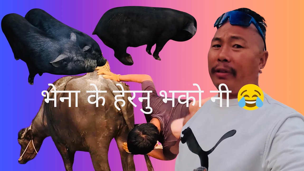 सीरीप ५६००० हजार को कारोबार भो साथीहरू🙏🏻❤️