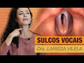 Sulcos vocais: o que são, como afetam a voz e quais os tratamentos?