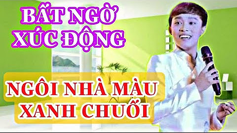 Hồ Văn Cường Và Câu Chuyện Về Ngôi Nhà Màu Sơn Xanh Đọt Chuối || PHI HẢI TV