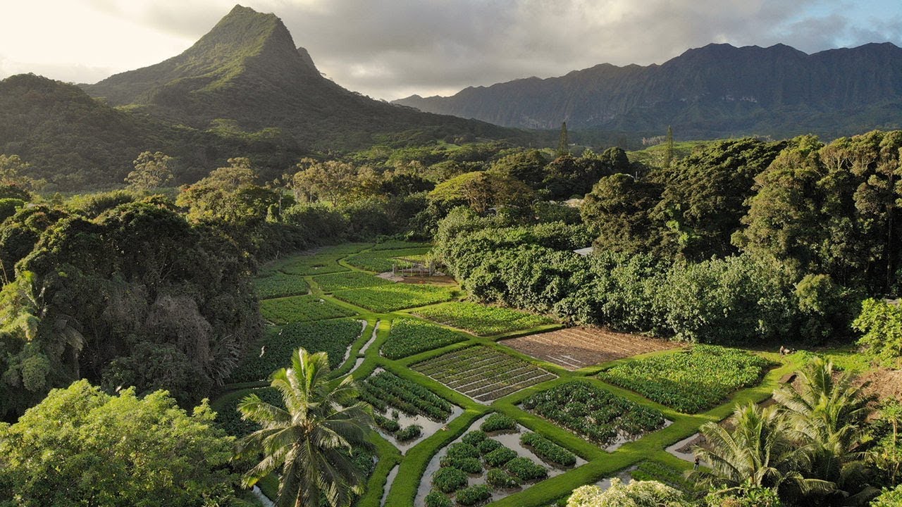 Hoʻokuaʻāina Farm Tour YouTube