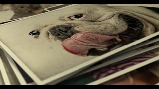 🔥 PHOTO GALLERY TEMPLATE - Project For After Effects (videohive) ✅ SMILE TO LIFE  👈