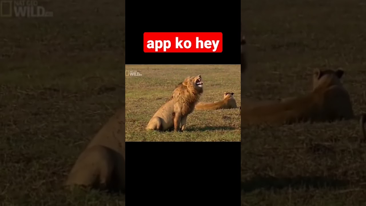 chalo fer aaram kar te hey