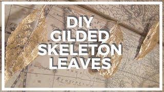 Gilded Skeleton Leaves ♥ DIY