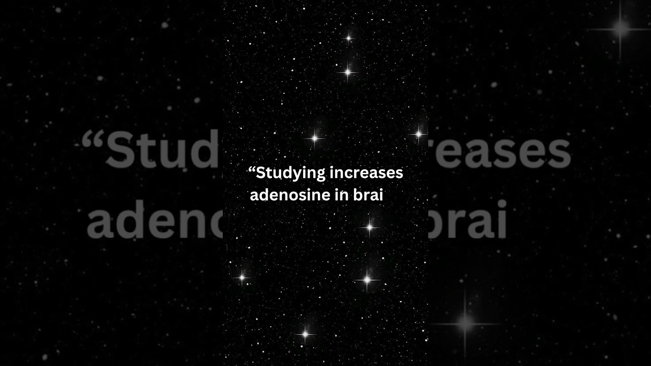 Why do you feel sleepy right after studying? 😴🧠 | Biology explains!