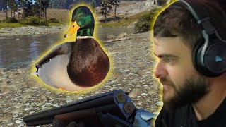 Polowanie na kaczki - Way of the Hunter screenshot 2