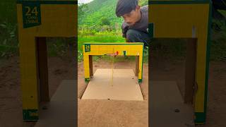 Really Good Idea Quail Trap Using Cardboard Box #Shorts
