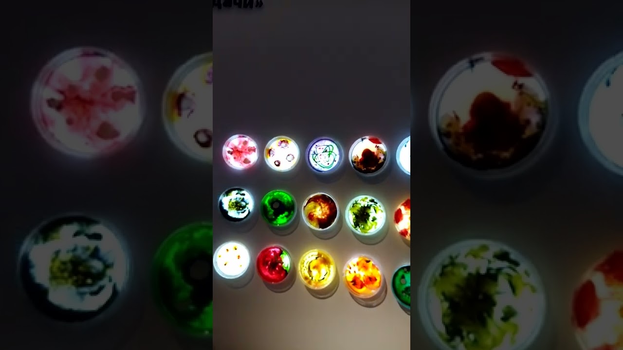 #Вырастить_картину