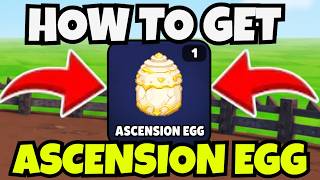 HOW TO GET ASCENSION  EGG IN GROW A CHICKEN FIGHTER (NEW CHICKEN ARENA UPDATE 2) | ROBLOX screenshot 5