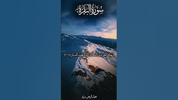 من سورة البقرة جميل الرحمن مراد #الرحمن #اكسبلور #المصحف #حالات_واتس #ترند #تيك_توك #prismlivestudio