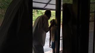 Wait Till The End 😂😍🧿 | Mazha | #nostalgia #trending #kerala #monsoon #viral #rain #keralamonsoon