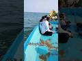 boating in mypadu beach ⛱️#nellore#mypad#beach #viral#trending#boating #ytshorts @ItsSharuVibes