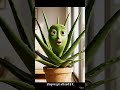 Aloevera #ReelsIndia #ShortsIndia #ViralReels #TrendingReels #EducationalReels