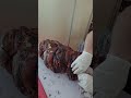 Cutting Pig Belly Meat. Italy Street Food. Slow Food Exhibition. Turin, Italy