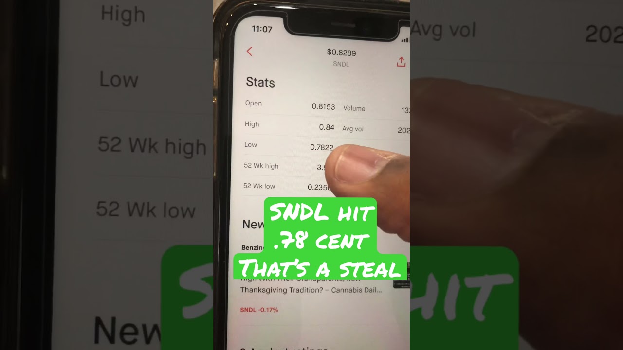 SNDL stock hit 78 cent! That was a steal !!! Buy in at .80 cent or less 🎯