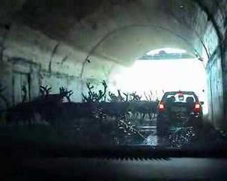 North Cape (Norway) - , the free encyclopedia