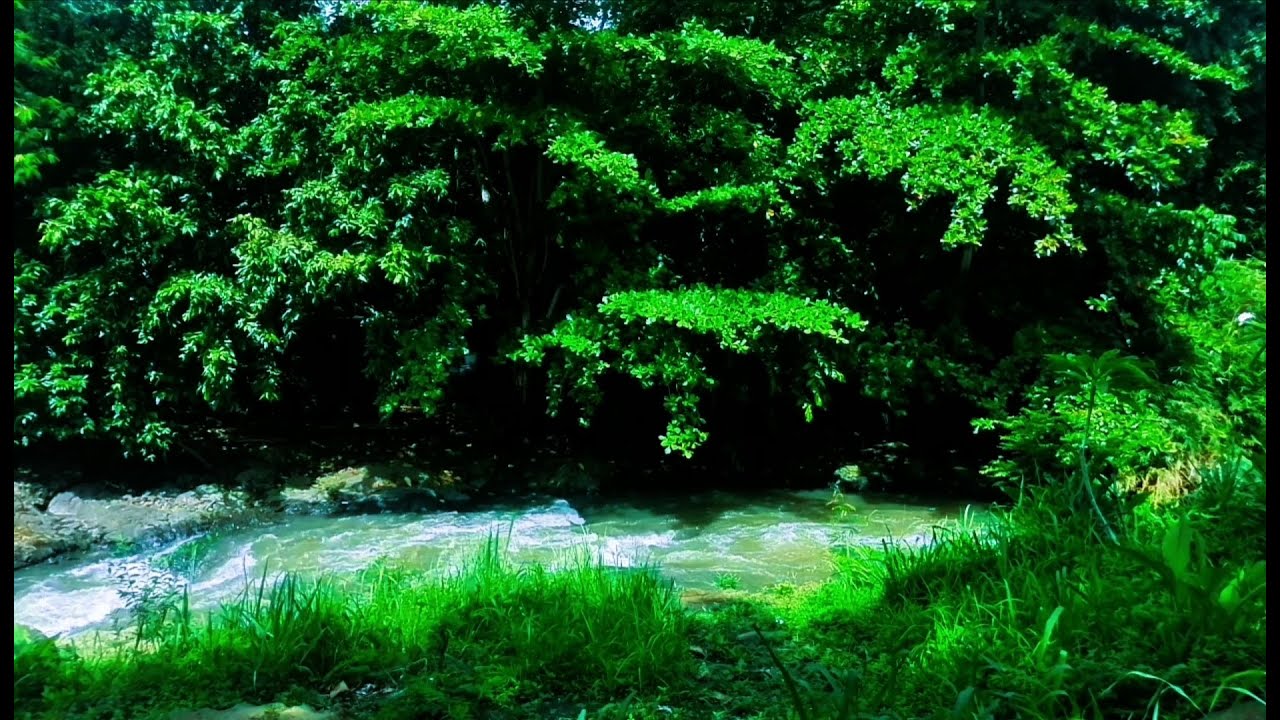 Relaxing River Sound calm water for sleep, stress relief, for yoga, for meditation