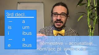 6c - Third Declension Neuter (Mr. Burke's Latin)