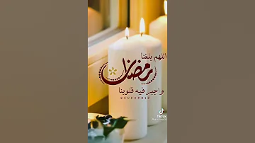 اليمن عدن 