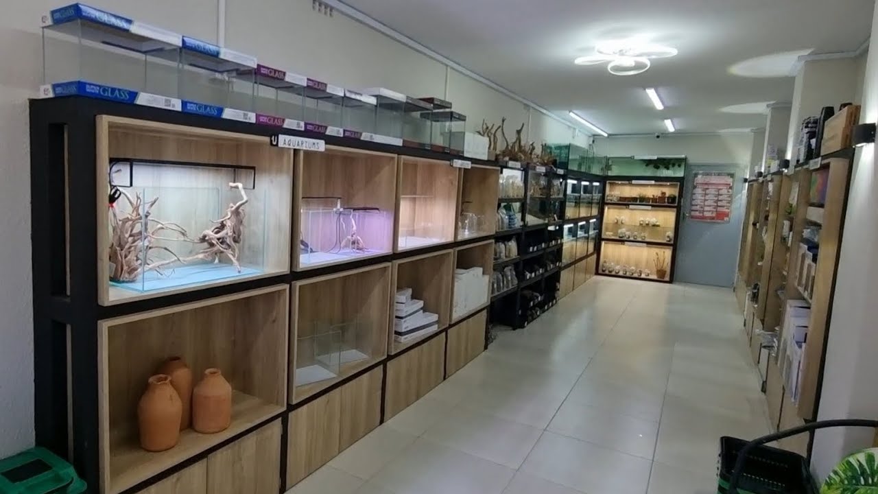 Small Local Fish Store I found a HIDDEN GEM! - Local Fish Store Tour: UPONICS, Claremont ...