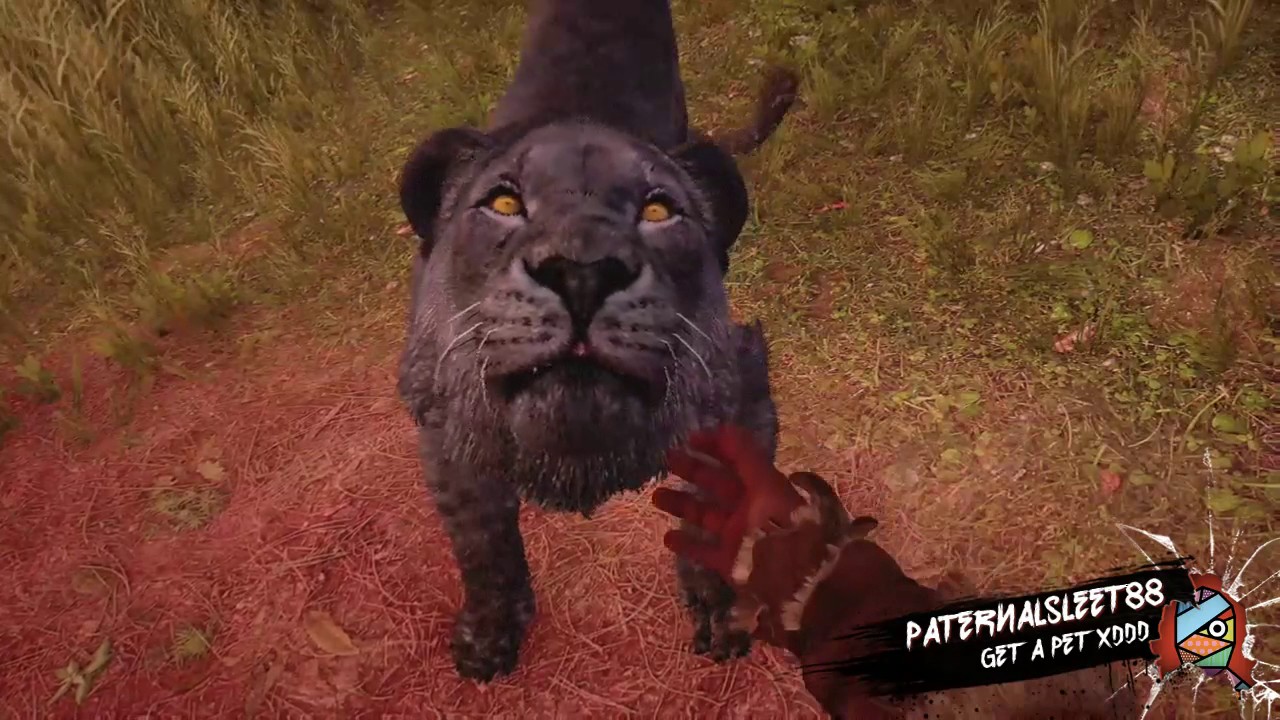 All Pet Animations In Far Cry Primal©