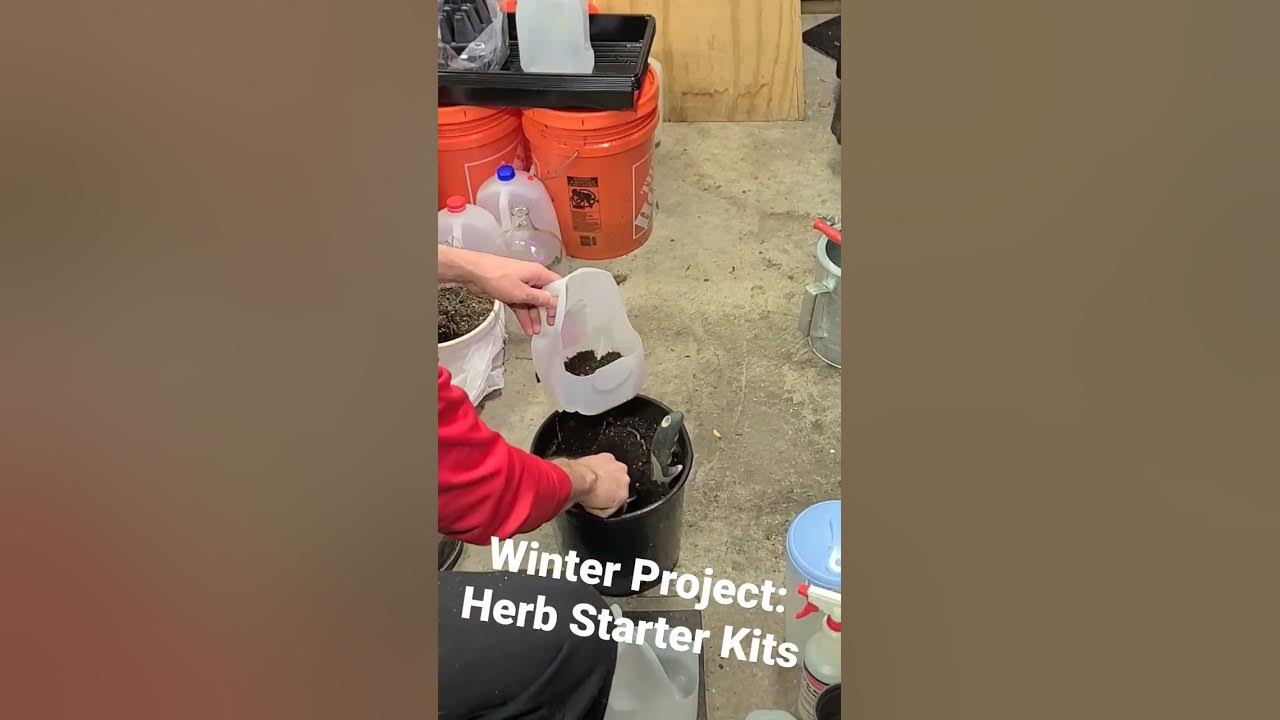 Reduce, Reuse, Recycle your gallon jugs with this Herb Garden Starter