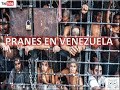 PRANES EN VENEZUELA