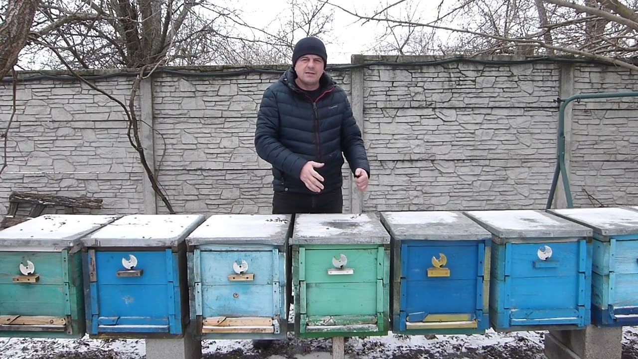 Что ни так с ценами на пчелопакеты 2026 года.