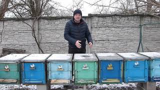 Что ни так с ценами на пчелопакеты 2026 года.