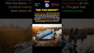 CASE 4019 - Eastern Air Lines 401 (1972) Twenty-cent bulb sank the jet #shorts #history