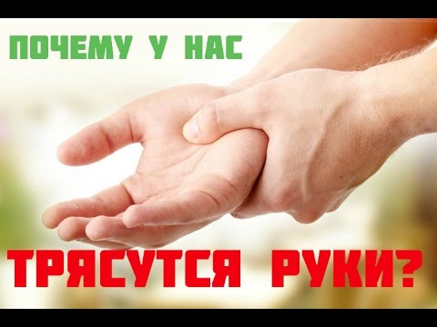 ПОЧЕМУ У НАС ТРЯСУТСЯ РУКИ? ПОЧЕМУ У НАС ТРЯСУТСЯ РУКИ?