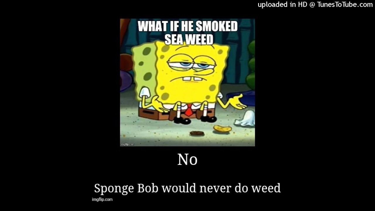 [FREE] Tr1st4n x Capoxxo type beat "Hollywood glamour Rawr" 188Bpm F Major