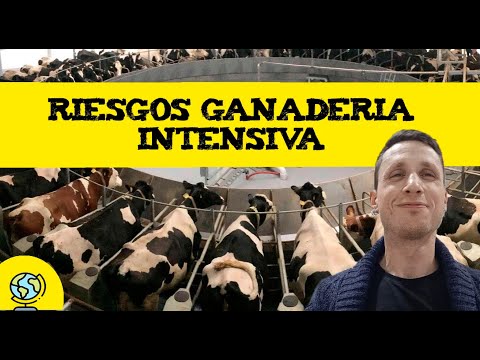 Riesgos ganaderia intensiva 🐑