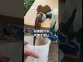 トマトを甘くする方法#魚粉肥料 #農業 #家庭菜園 #肥料 #農業を盛り上げたい #トマト農家