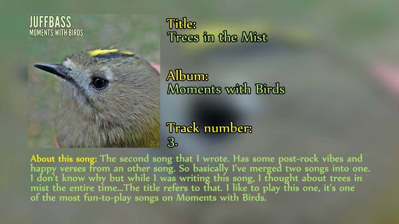 JuffBass - Trees in the Mist (Original)