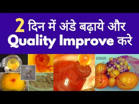 How To Improve Egg Quality Naturally l 2 दिन में अंडे बढ़ाये और Quality Improve करे l #HeenaHealth