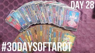 #30daysofTarot with Naha ?My favorite deck 