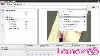 Sony Vegas Effect