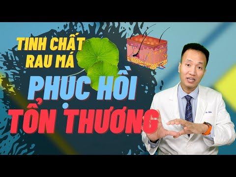 Rau má Centella Asiatica tác dụng và vai trò trong mỹ phẩm | Dr Hiếu
