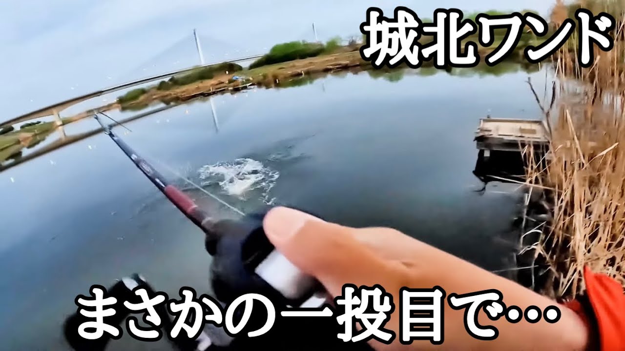 【淀川】日本屈指のハイプレッシャーフィールドに行ったら奇跡が起きました