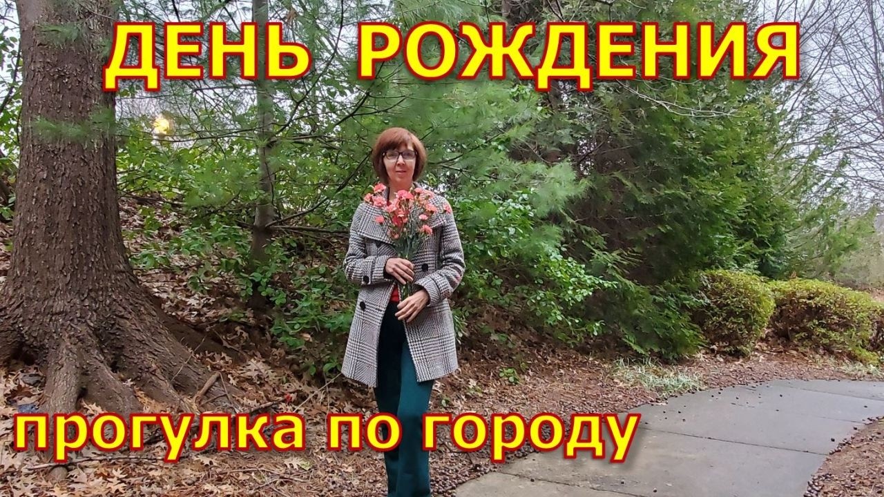 Прогулка по городу в день рождения. Посидели. Новая чайная. Винстон Салем.