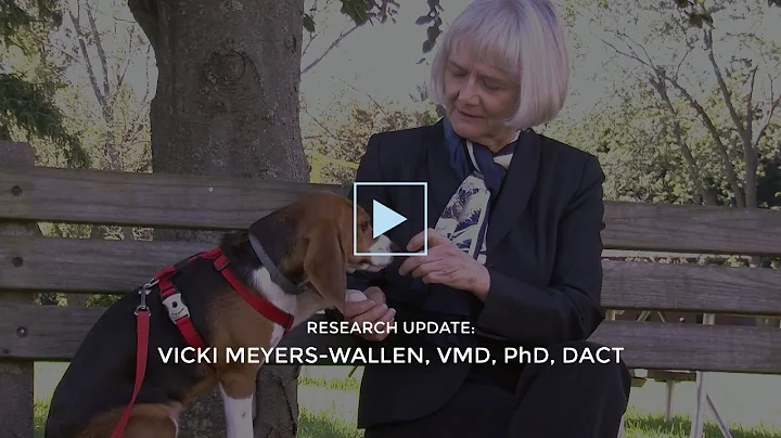Baker Institute Research Highlight: Dr. Vicki Meye...