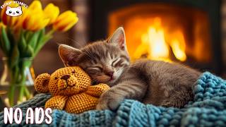 Soft Calming Music for Cats 🐾 Soothing Sounds for Stress Relief Relaxation and Peaceful Sleep screenshot 5