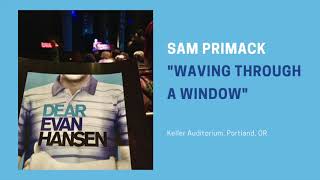 Sam Primack - Waving Through a Window